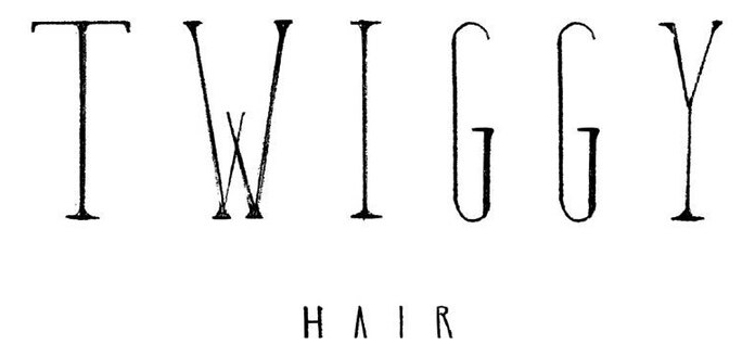 TWIGGY hair